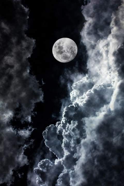 lalysher's tweet photo. #BuenasNochesMundo 🌍🌎🌏
Hora de descansar 💤💤💤
Hasta mañana si Dios nos permite ��🙏🙏 https://t.co/Iz73jqW1dj