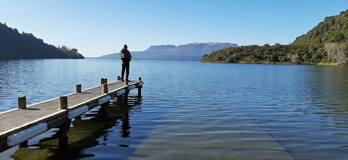 EasternFishGame's tweet photo. A beautiful day, crystal clear water and some impressive trout on Tarawera today. https://t.co/UrChxAupjX