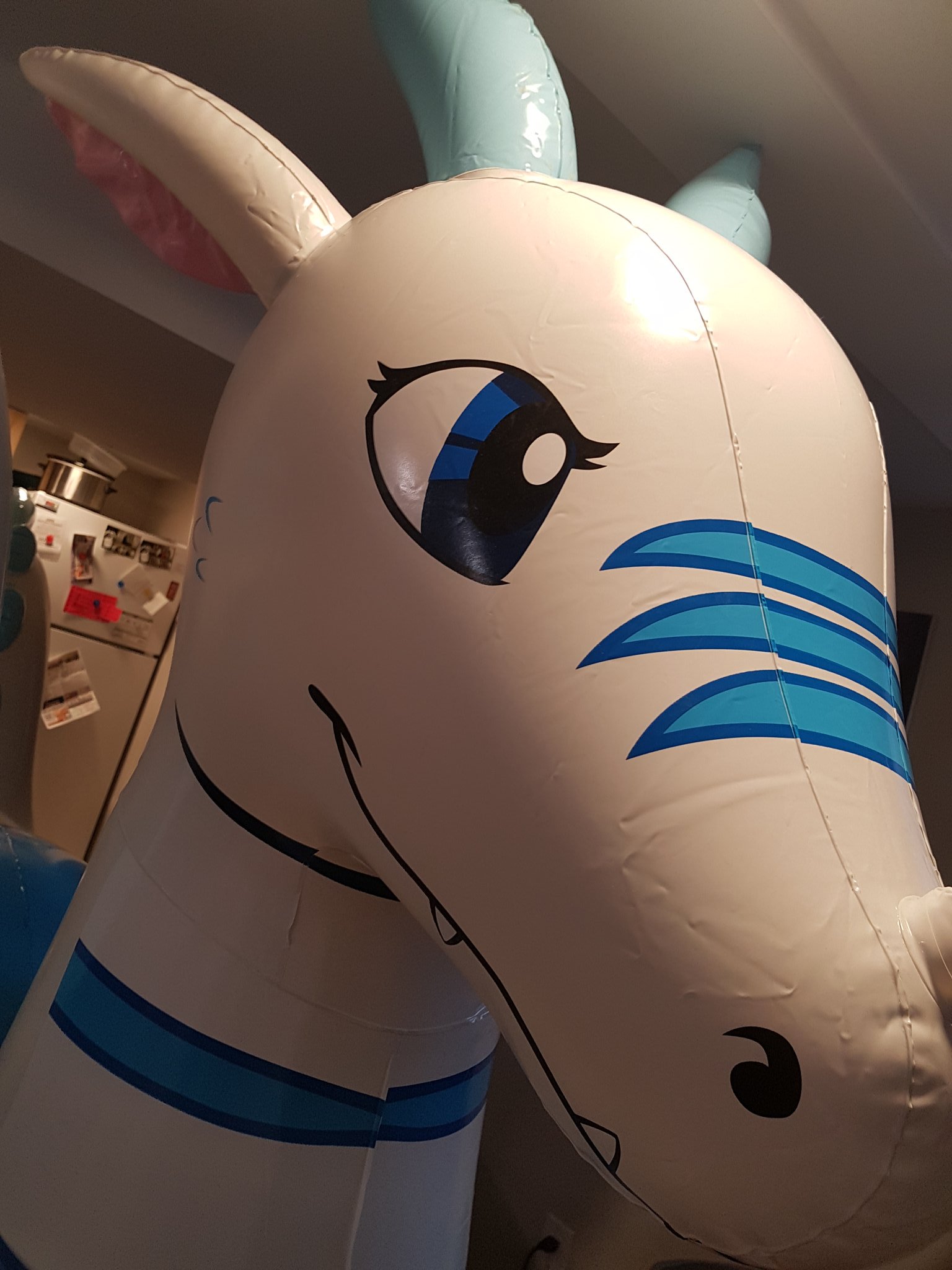 Dominus Inflatables on Twitter: 