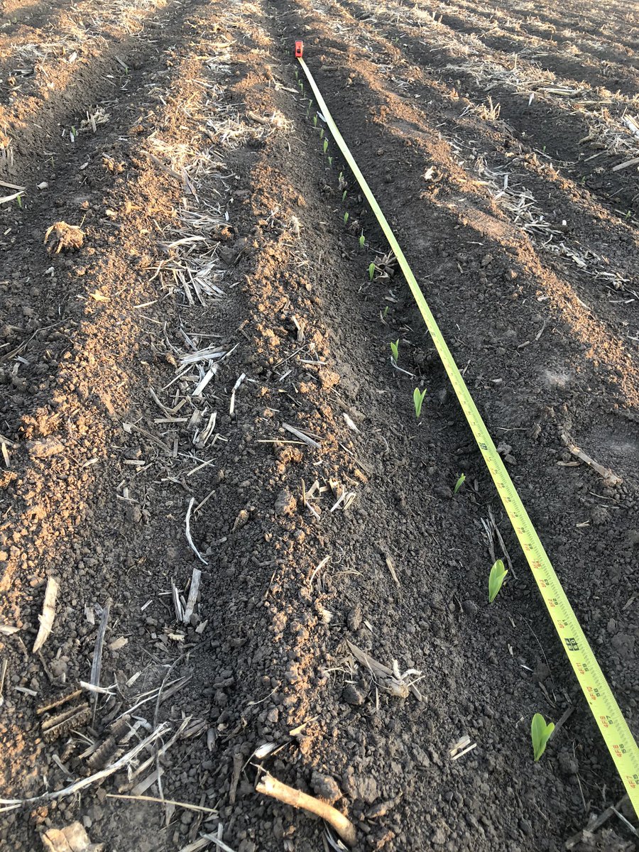 Heidi High tweet media