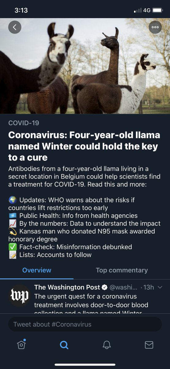 TimCausbrook's tweet image. 2020 has become a Pynchon novel.