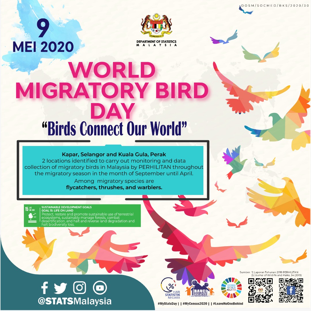 StatsMalaysia's tweet photo. World Migratory Bird Day 2020
“Birds Connect Our World”
#StatsMalaysia
#MyCensus2020
#MenghitungMalaysia
#PastikanAndaDibanci
#DataAndaMasaDepanKita
#LeaveNoOneBehind
#SDG
#MAKMUR2030
#stayathome
#istayedatworkforyou
#youstayathomeforus https://t.co/0D5ec1w8Lq