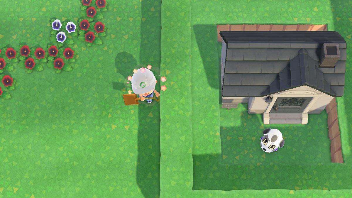 伊藤黒介 V Twitter 島の和を乱す輩に斟酌の余地はございません