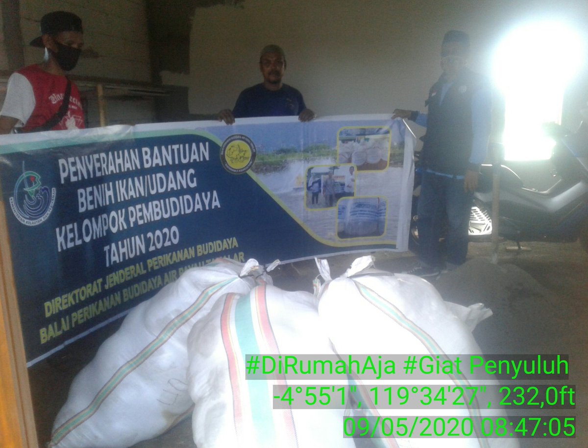 ila_namsu's tweet photo. Maros 9 05 2020 Atas nama pokdakan Abbulosibatang dan pokdakan Buamata mengucapkan terima kasih @BPBAPTakalar telah membantu benur vanname @BRPBAP3_Maros @BudidayaKKP @puslatluhkp https://t.co/CvRehZ10mj