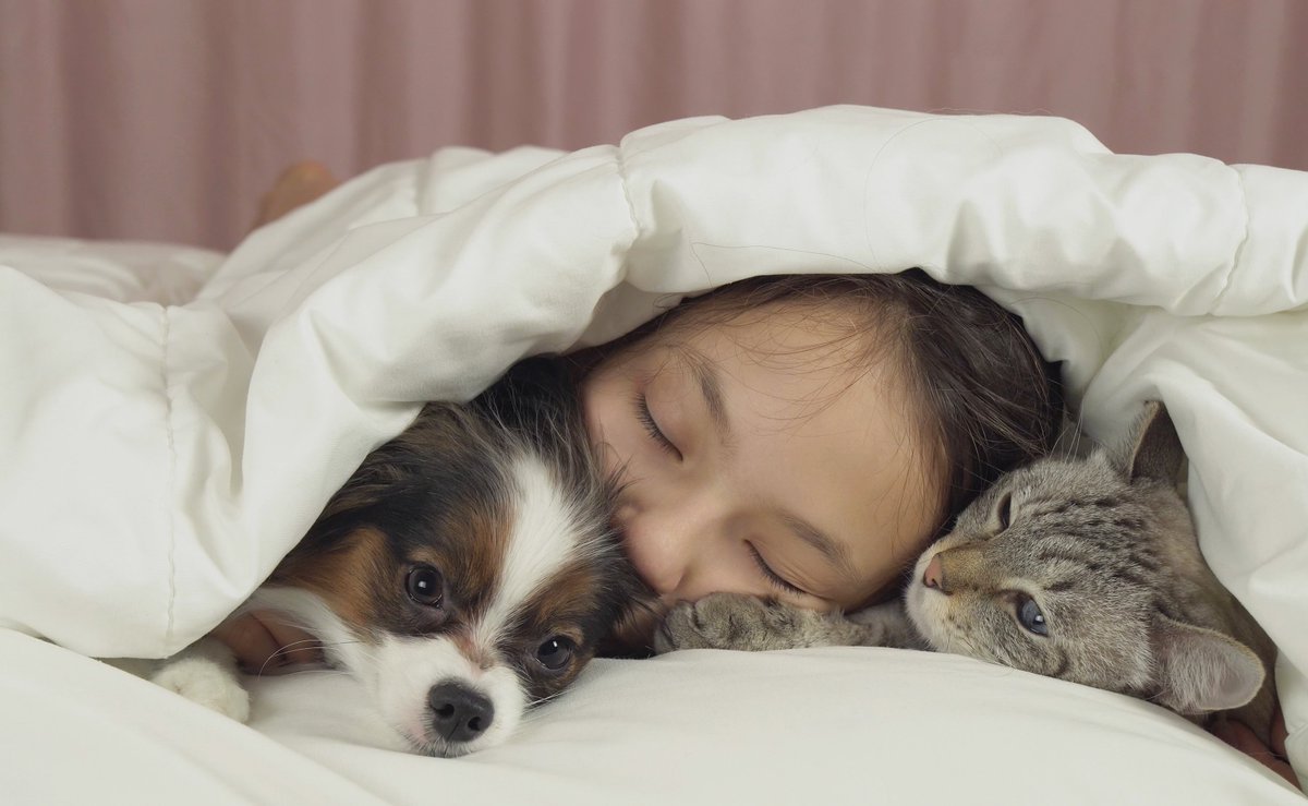 pure_down's tweet photo. This looks like Pure heaven to me, cuddling with fluffy babies🐶🐱in a soft cloud.
#puredown #bedding #sleeponit #cat #dog #cute #pet https://t.co/t1n36UhsQH