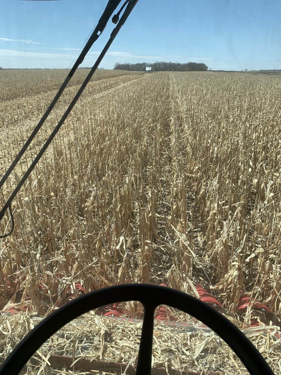 gt350tang's tweet photo. Trying to beat the snow. Who else can say that about harvest in May?
#corn2019 #draintile
It’s so wet, it’s almost depressing to the point of puking. https://t.co/IdaDuVOKsx