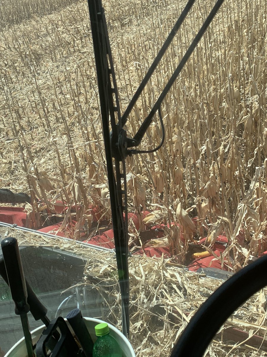 gt350tang's tweet photo. Trying to beat the snow. Who else can say that about harvest in May?
#corn2019 #draintile
It’s so wet, it’s almost depressing to the point of puking. https://t.co/IdaDuVOKsx