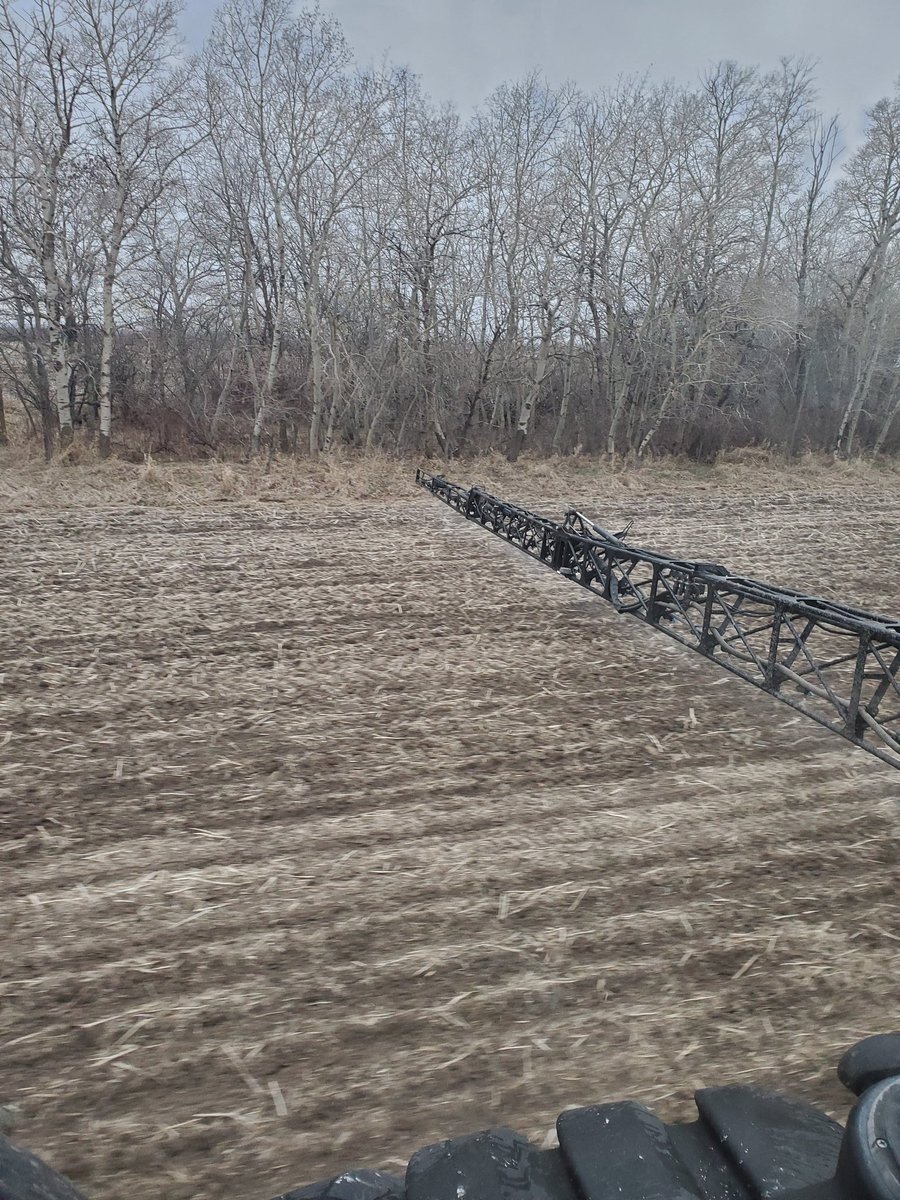 Want the neighbors to talk? Spray in +3 on fresh seeding with a snowfall warning in effect. #Avadex Too bad its not by the highway. They would have to reopen the coffee shop just so they could talk about me