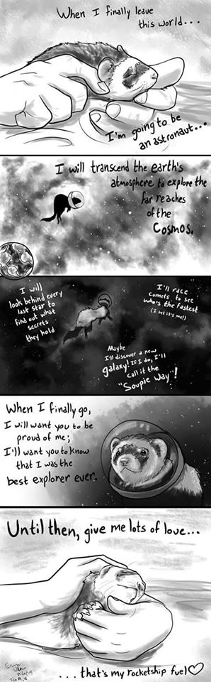 SubRosaMagick's tweet photo. #ferrets #astronauts #RIP Kodi (Kodiac Bear) #DookInPeace
2013 - 5/6/20 #rainbowbridge https://t.co/ZD88mWHOKS
