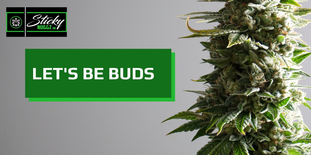 stickynuggzinc's tweet photo. Let's be buds. Tag your bud to show them you're thinking of them during these iso-times.
#bestbuds #stickynuggz https://t.co/P8nxmE8p6V