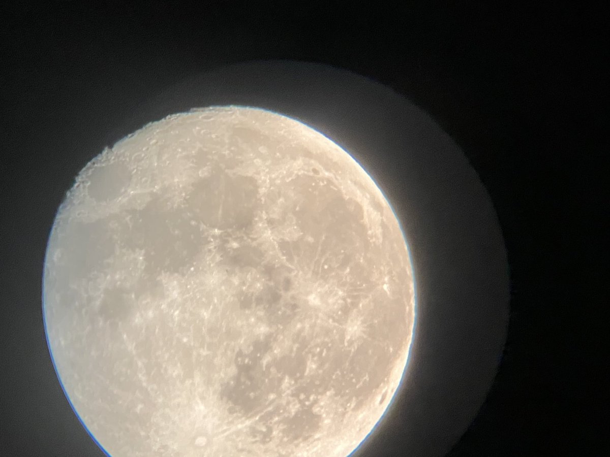 Renzo Lercari tweet media