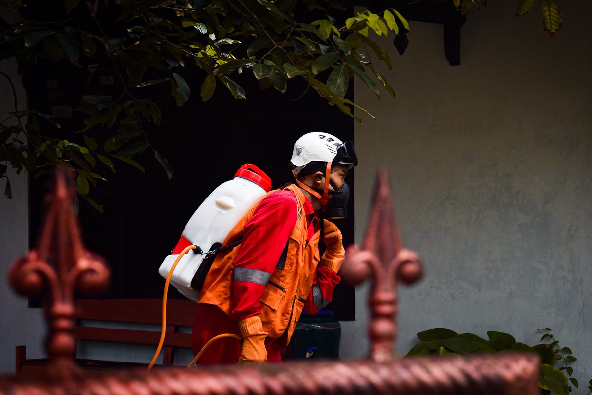 Defano0's tweet image. Walaupun sedikit berat tetap kita jalan i karena ini panggilan jiwa tuk mengamalkan janji "DASADHARMA" 
@KwarcabSolo @dkcSolo @PramuliJateng