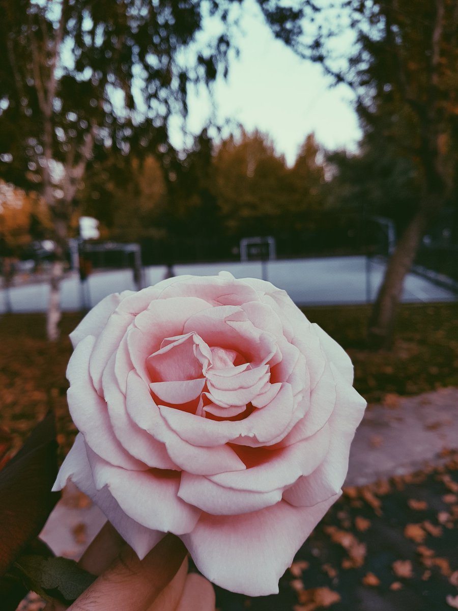 gurbetin âlâsı: varmak istediğin kalbe varamamakmış..