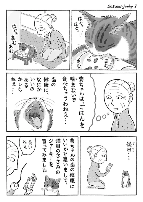 2ページ猫漫画「ささみジャーキー」 #猫の菊ちゃん 