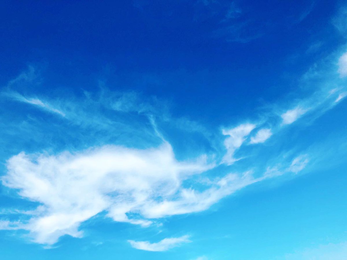 maco_369's tweet photo. 欠点(と思っているところ)を認めて、そのままにする♪
欠点を直そうとすれば、才能や魅力も減る。
＊
#欠点 #欠点は才能 #魅力 #直さなくていい #そのままで #個性 #本当は #そのままで完璧 #これからは #多様性の社会 #どんな自分も認める https://t.co/YnWHkCKA4V