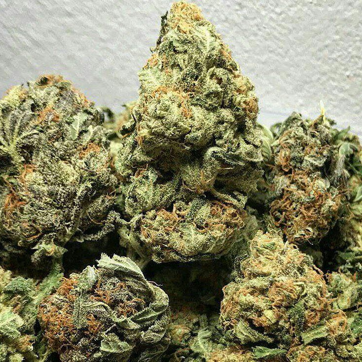 Weedhumour2's tweet photo. @LiberezMaWeed 
🇫🇷contacte sur whatsapp uniquement :+33 7 53 62 30 48
Wickr://weedhumour
Snap// weedhumour20
Télégrame//weedhumour
#joint #joints #jointsmoker #weedfrance #franceweed #franceweedsmokers #francecannabis #cannabisfrance #weedparis #parisweed #weedinparis #smokinginp https://t.co/KB8iPGR4aD