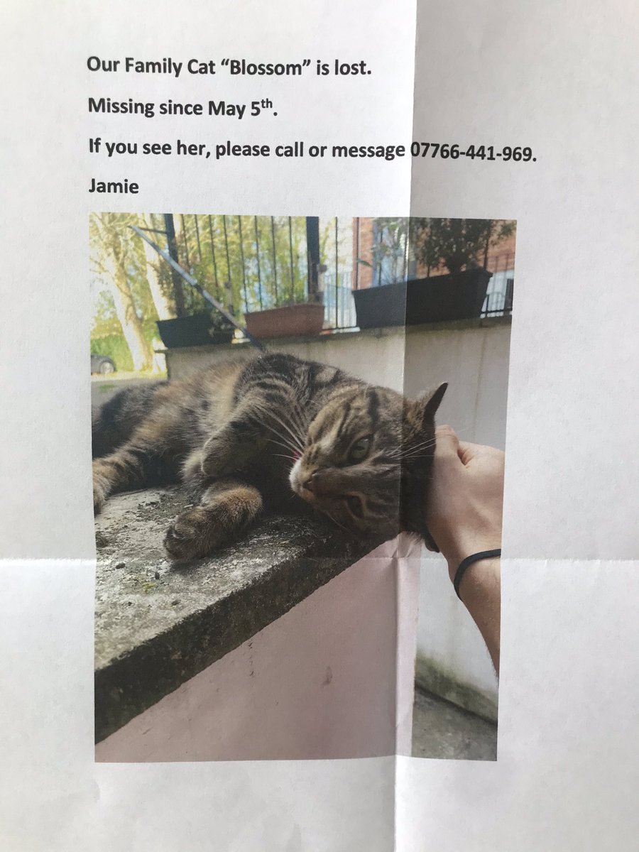 Have you seen Blossom? Central Rd, Goulden Rd, Burton Rd, Palatine Rd? She needs to be reunited with her family <a href="/doonan_79/">Jamie Neilan</a>