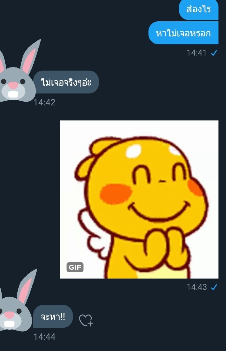 ขิงไอกระต่ายหื่น ft.เดี๋ยวจะมาไล่ฟอลนะ tweet media