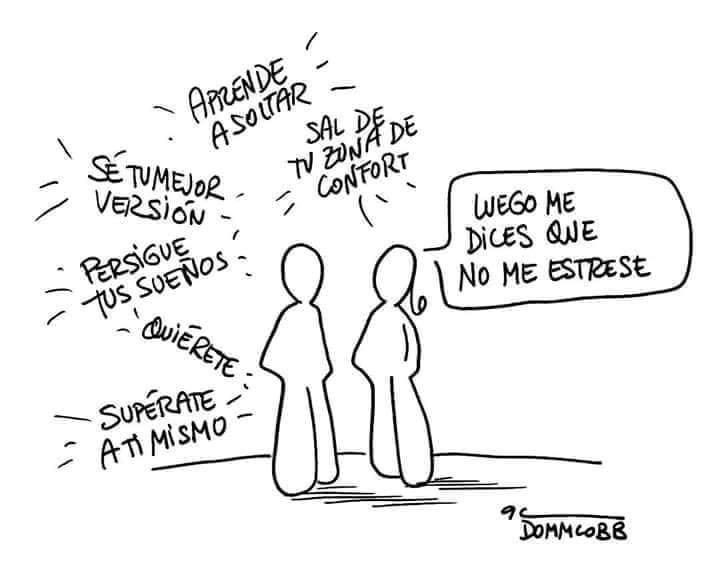 Lara Vidal tweet media