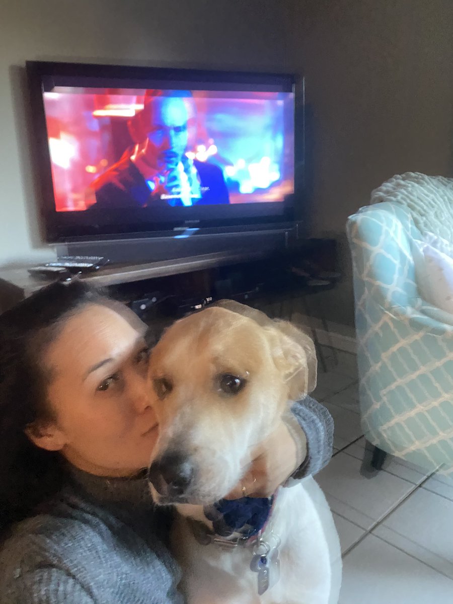 raquel_caballes's tweet photo. Watching #Lionsgate โs stream of #JohnWick with my awesome pupper ๐ถ Hosted by @curtisleejamie and featuring pups for rescue and funds to help secure the future of film ๐ I canโt wait to go back to the theatre ๐ #savethepuppies #imthinkingimback #babayaga ๐ฅ #youtube #dogs https://t.co/V9vVvbEbnm