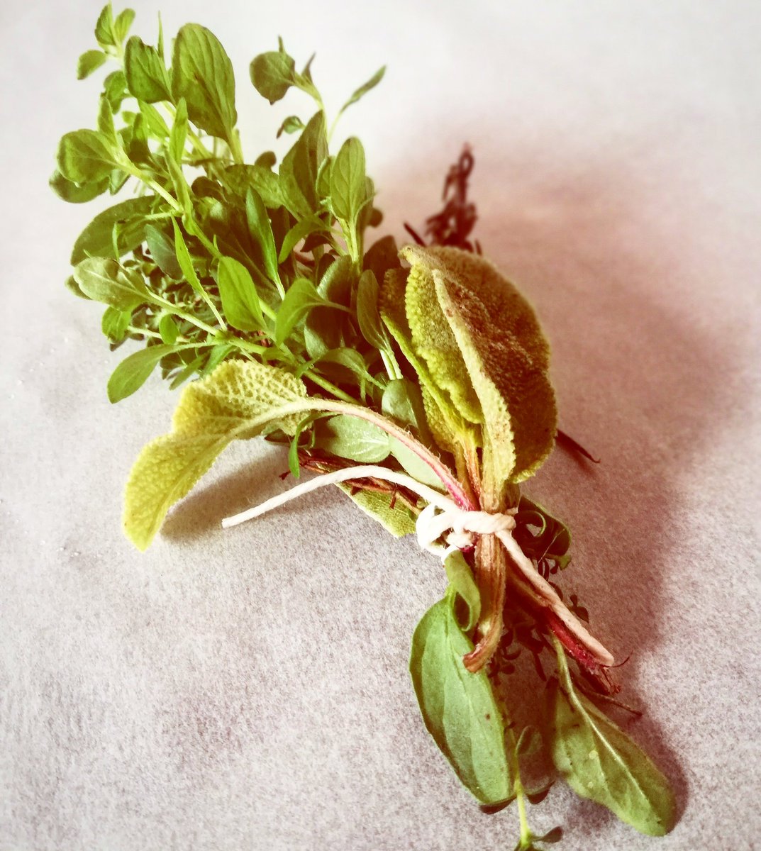 llimantul's tweet photo. Quel mazzolini di ...♥️
#mediterraneo #origano #salvia #alloro #rosmarino #timo #timolimone #erbearomatiche #alghero #Sardegna https://t.co/UBnOoFT9nx