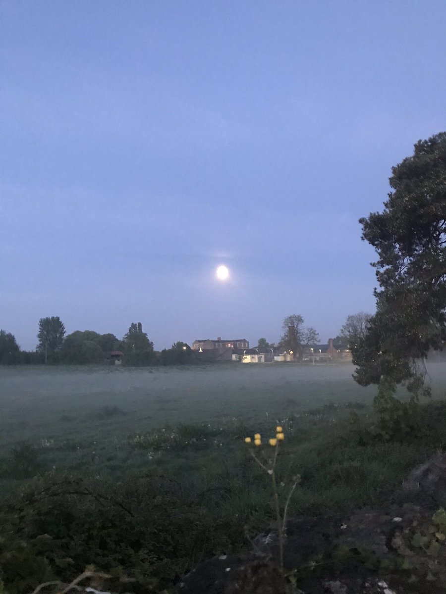 JadeCKirwan's tweet photo. What a beautiful morning for it #DIL2020 https://t.co/PBZ2Lnsd4m