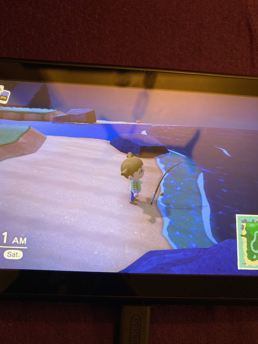 SO ONE OF MY FRIENDS JUST STARTED PLAYING AC (they're an hour in) AND THEY'RE FISHING FOR THE FIRST TIME AND I CANT