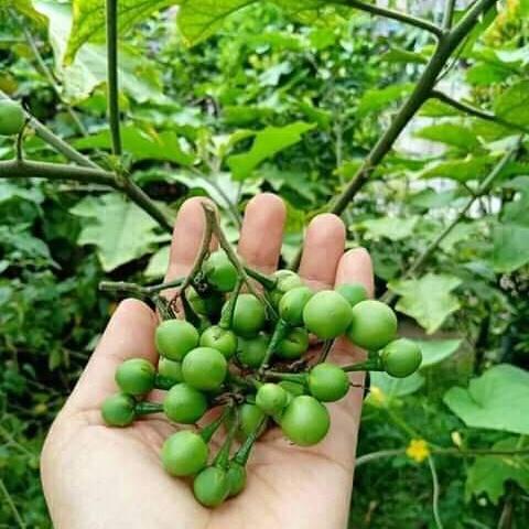SelloMitha10's tweet photo. #FotoProfilBaru https://t.co/cB3uhEod4w