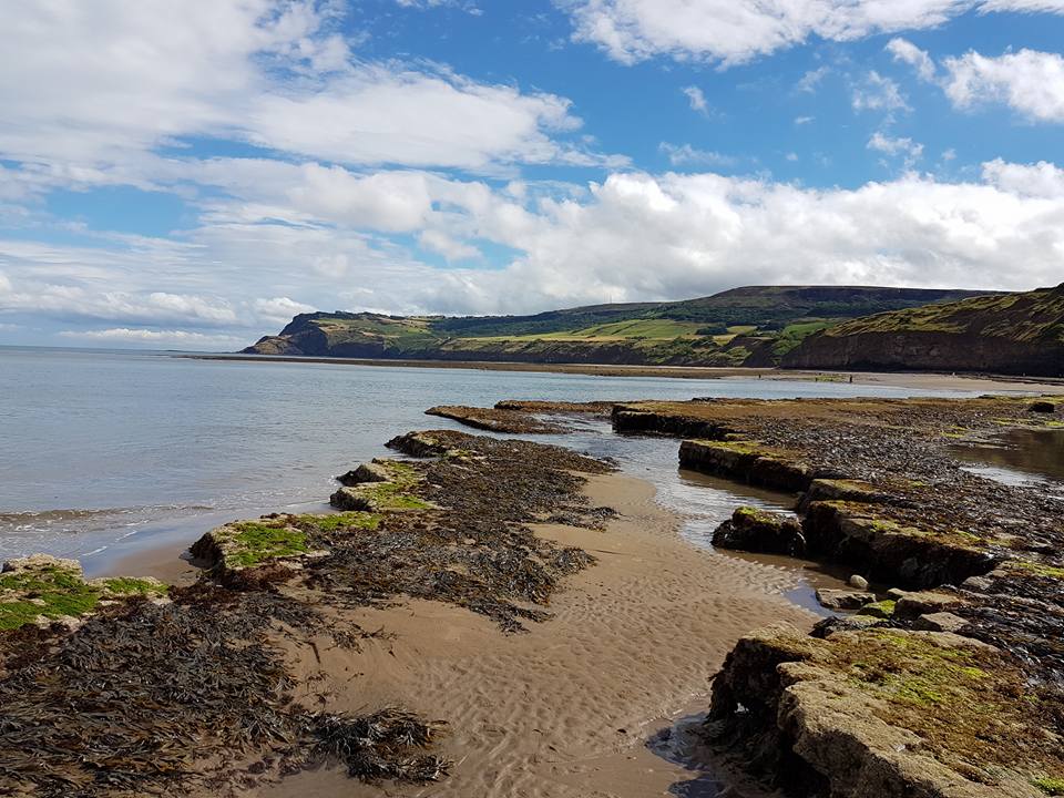 NTU_Museum's tweet photo. Day 9 of #MayMuseumsThrive is #NaturalHistory. Yorkshire's biodivese #Jurassic coastline at #RobinHoodsBay is a site of special scientific interest #SSSI. This landscape is rich in #fossils of #prehistoric species #Ammonites #Belemnites #Gryphaea @DiscoverCoast @BritGeoSurvey https://t.co/vIgABteSAT