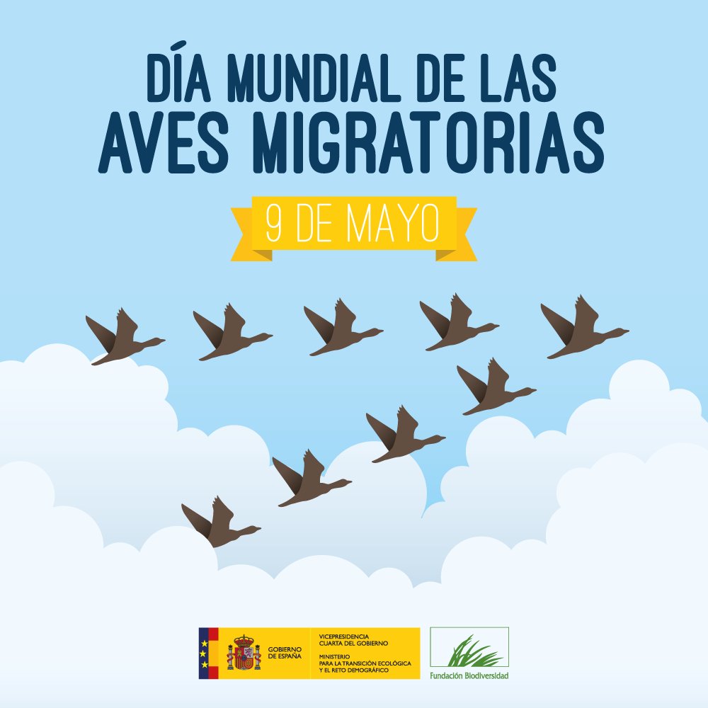 FBiodiversidad's tweet photo. La Península Ibérica es un lugar de paso y residencia temporal para muchas #AvesMigratorias 🦆

Los #humedales españoles se convierten en auténticas estaciones de servicio para las millones de aves que sobrevuelan nuestro país. 

#DíaMundialDeLasAvesMigratorias #WMBD2020 https://t.co/1tRC3fI0UQ