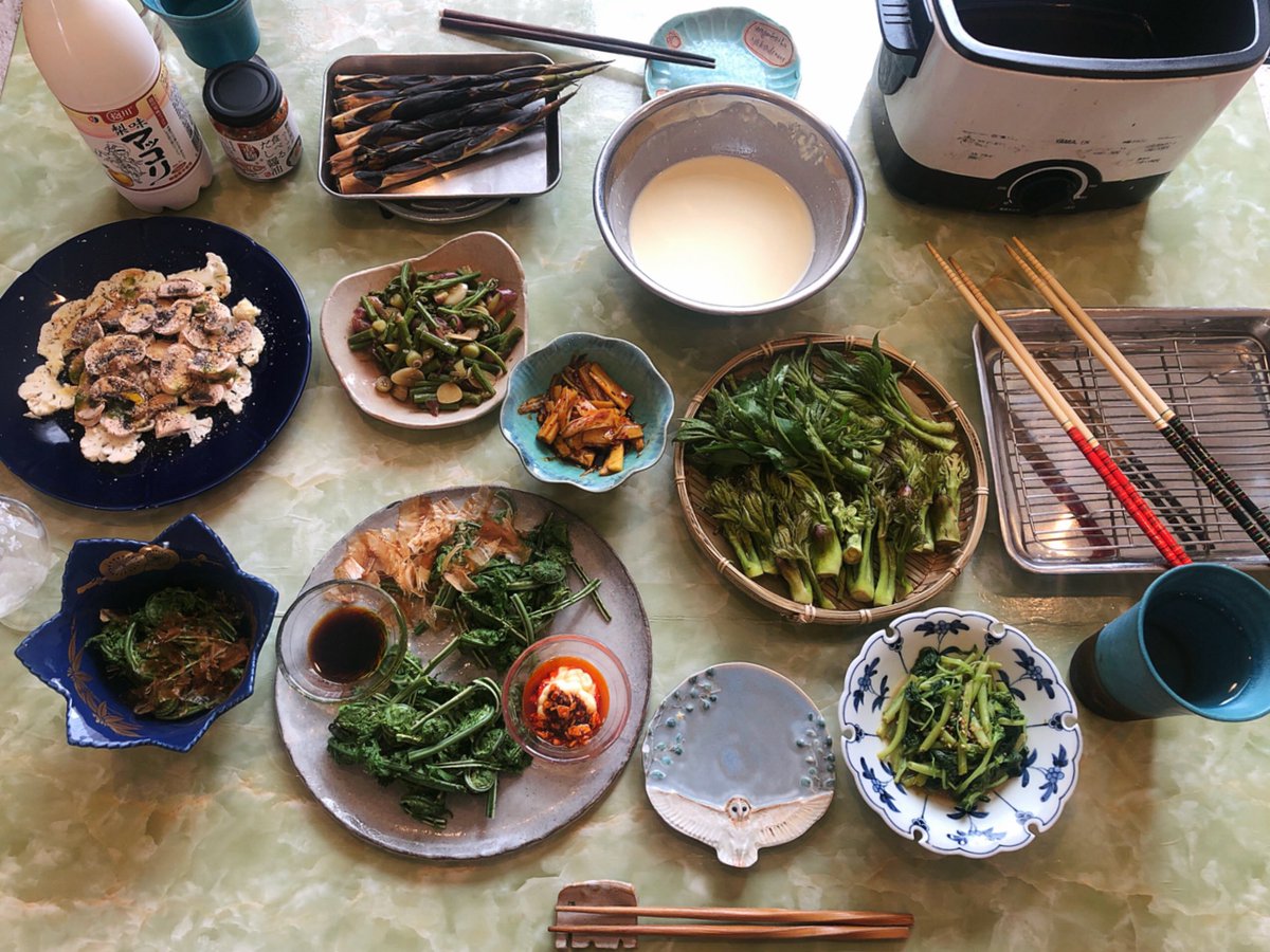 魔女っこれい お昼ご飯作った マッシュルームとカリフラワーのサラダ 姫たけのこの丸焼き わらびとミョウガのにんにく炒め 山うどの茎のピリ辛きんぴら こごみのお浸し こごみの塩茹で 鰹節ポン酢醤油 マヨネーズ辣油 タラの芽の天ぷら 山うどの葉