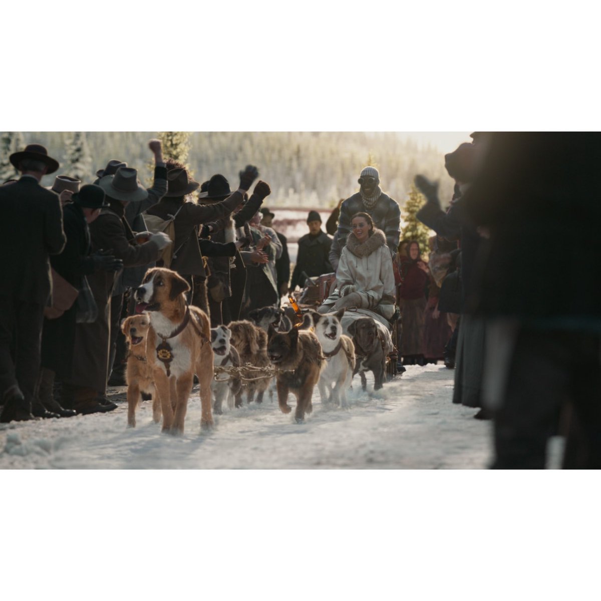 🎬서울극장 개봉예정작🎬 . <라이프 오브 파이> <혹성탈출> 제작진X해리슨 포드! 알래스카의 눈보라 속, 약육강식의 세계에서 생존하라! . <콜...