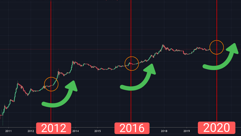Halving 2020 will be the same? History often likes to repeat... Better prepare for Bitcoin Halving 2020 and buy more hash power with the old price. Last chance...❗️