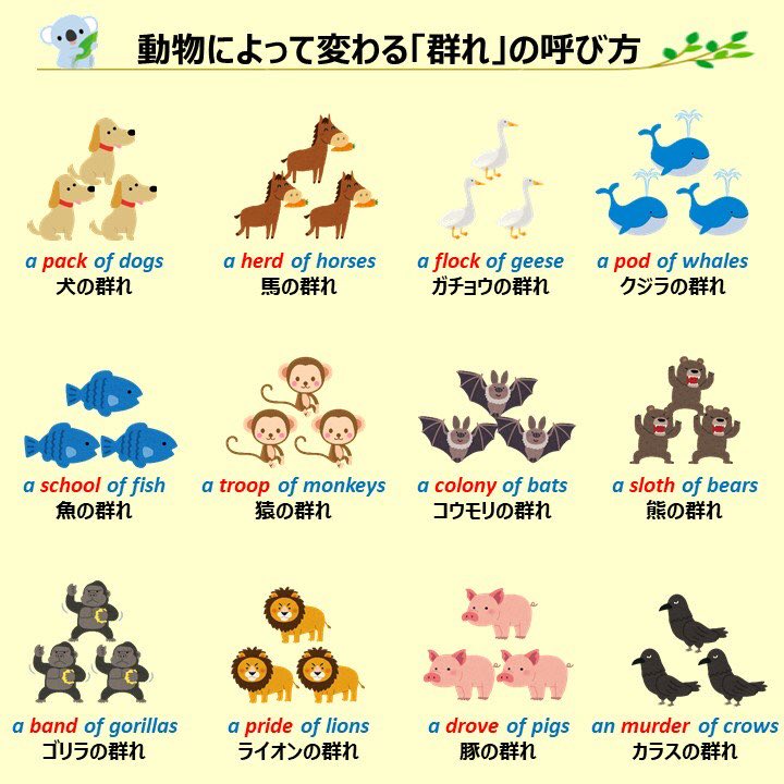 こあたん こあらの学校 好評の作品紹介 7 義務を表すmustとhave Toの違い 不規則な複数形 乗り物によるonとinの使い分け Onlyの位置により意味が変化する英文 T Co Djdeiwjfjg Twitter