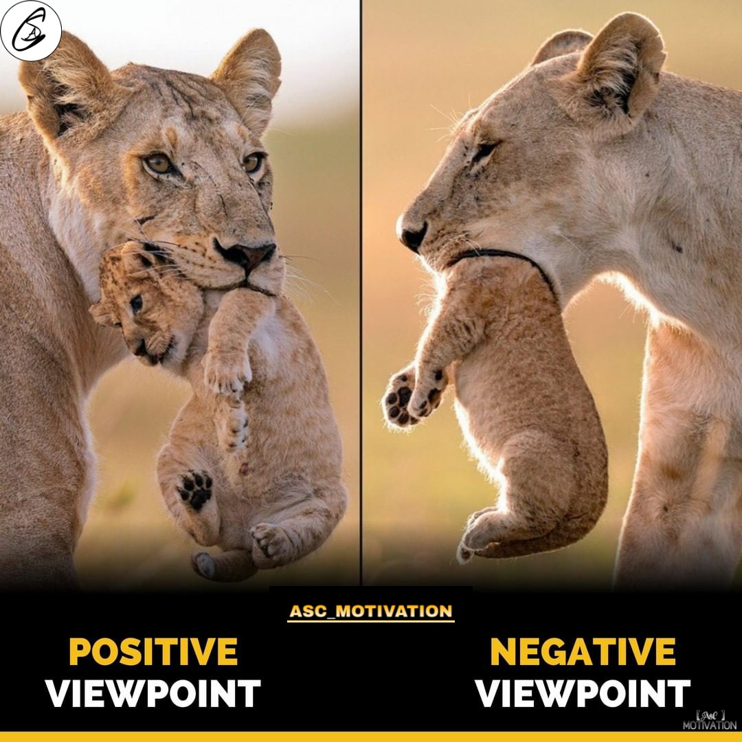 ascmotivation's tweet photo. "#Positivethinking🤔 is #powerful💪 #thinking."
#positiveviewpoint #negativeviewpoint #saturdaymotivation #positive #entrepreneur #life #thoughts #power #goal #dream #believe #success #quoteoftheday #motivationalquotes #motivationoftheday #future #time #motivation #ASC_MOTIVATION https://t.co/WSamfPhXvk