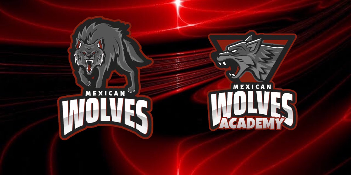 Estamos buscando gente para MW y MW Academy
Jugadores F/A o interesados en competitivo manden MD 
<a href="/RumbleStars/">Rumble Stars Football ⚽️</a> 

Únete a la manada 🐺

#GoWolves 🐺