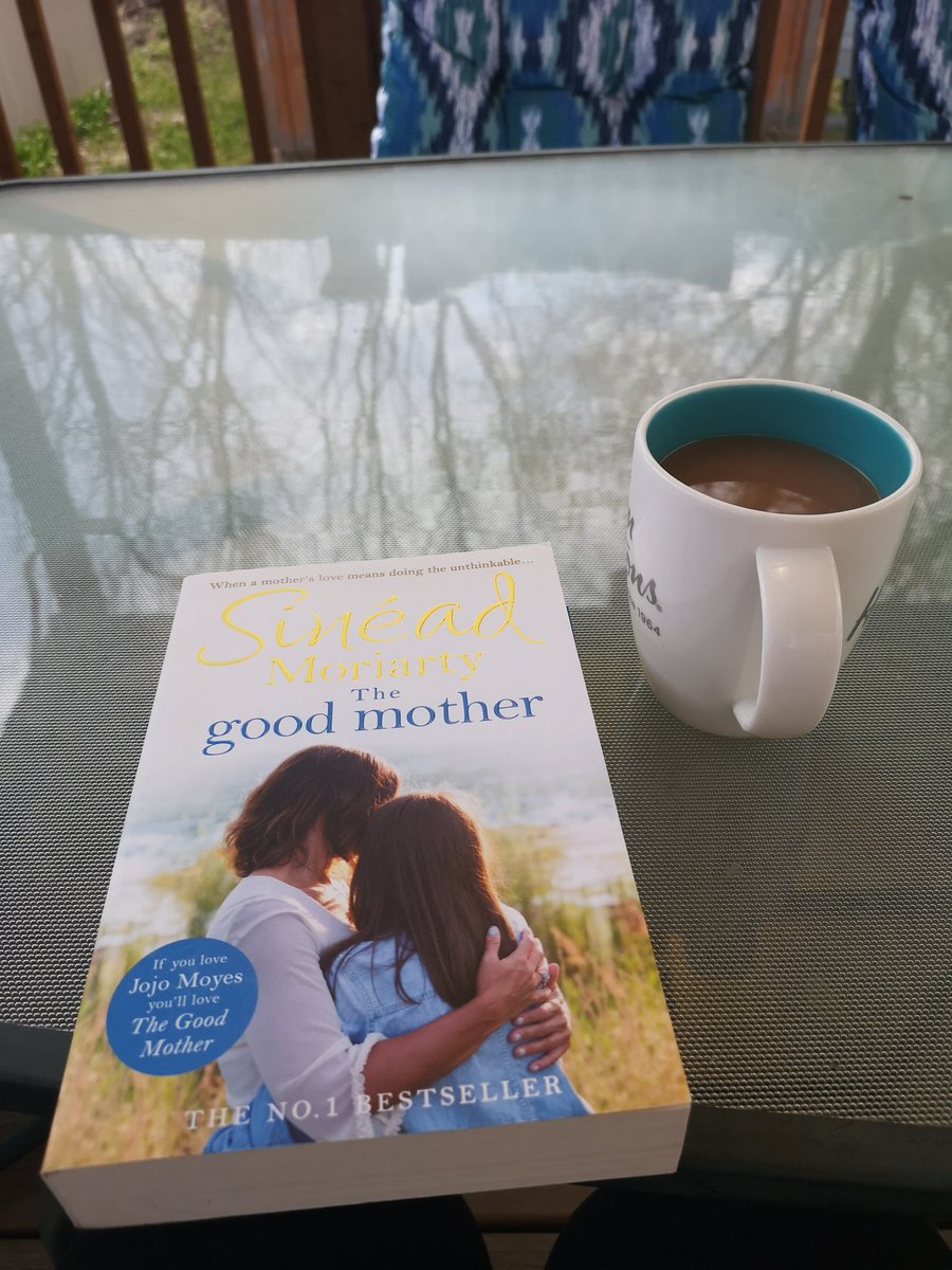 This book made me cry a few times  the struggle and heartbreak that this family went through tore me up. But, the healing and love brought warmth. My heart is with those whose loved ones are going through a horrible illnessThe Good Mother by Sinéad Moriarty 