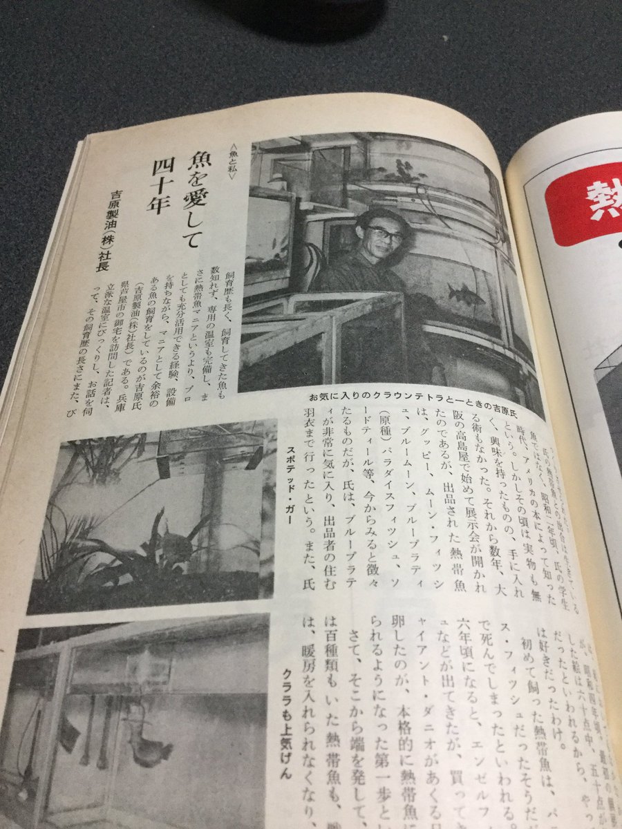 希少本 月刊フィッシュマガジン 創刊第2号 3号 14号 昭和40年 1965年 希少本 フィッシュマガジン 創刊第2号 第3号 第14号 昭和40