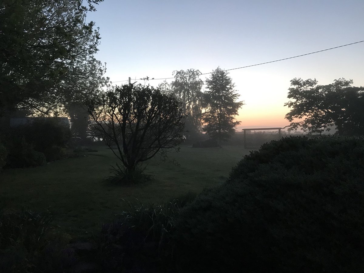 ___justjaq's tweet photo. #DIL2020 #DarknessIntoLight https://t.co/AFvCCQCDet