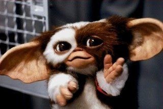 イオンシネマ金沢 グレムリン を観てからずっとギズモと暮らせる日を夢見てる W 一緒に暮らせた日には 一緒に日光浴して その後お風呂に入れてあげて その後は一緒にチキン食べながら真夜中まで映画パーティーするんだ くらしにシネマを