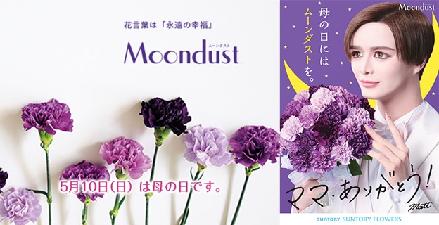 すっぱい林檎の専門店 店長 Mattがキャンペーン中なのです Moondust ムーンダスト 花言葉は永遠の幸福 T Co Fkfbz8ful8