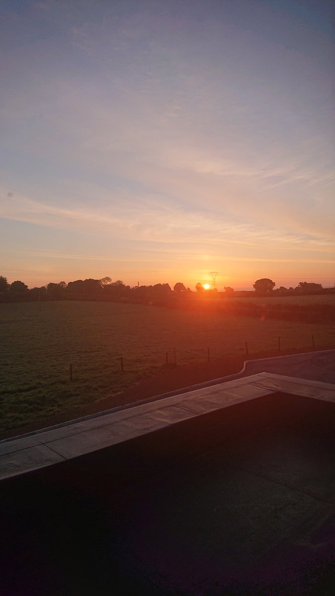 MargueriteNeill's tweet photo. There is always hope #DIL2020 https://t.co/G9beegAWy6