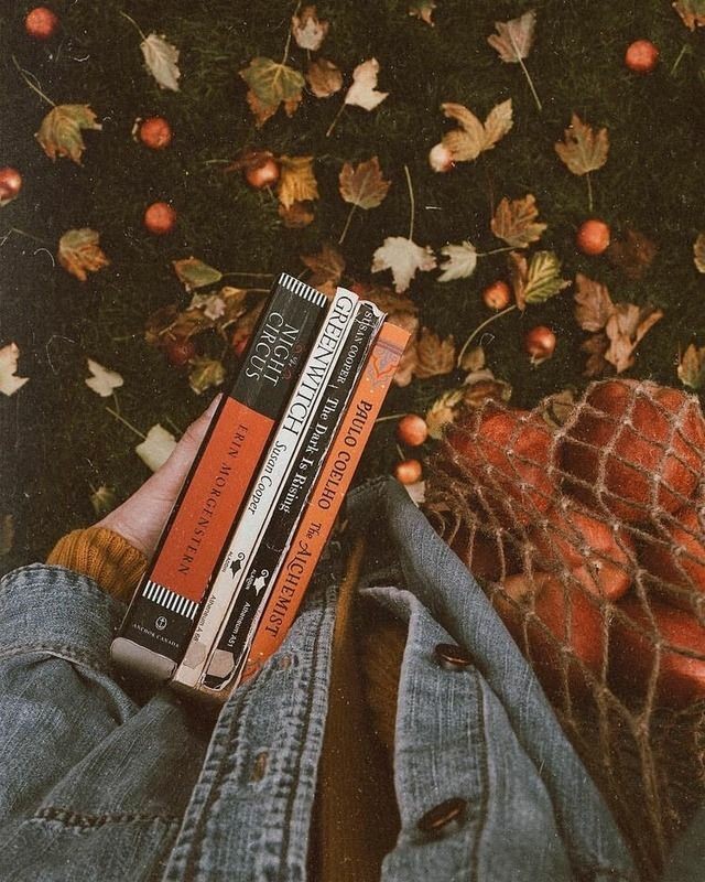 inthehstyles's tweet photo. ✩ Thread : livros que li em 2020 ☽ https://t.co/TkTMvX9thJ