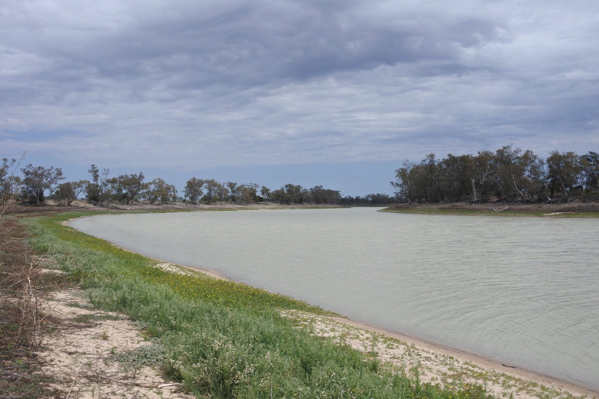 IndigenousX's tweet photo. Science (S in STEM #biased) has allowed me to hear some of the oldest water stories #Gurria & #Boobera on the planet #IndigenousSTEMawards #Kamilaroi
Can we celebrate our culture & share our stories our way & make science a pathway for the next gen?
More #STEMoriginal grads https://t.co/vMGPHwHjDJ