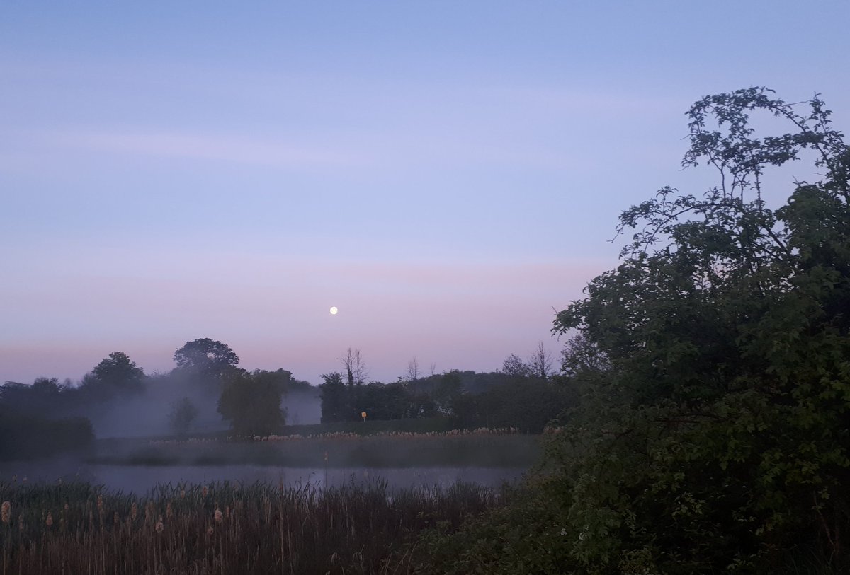 margyfitz's tweet photo. A new day begins, remembering those we've lost and those in pain but each new day brings hope #pietahouse #DarknessIntoLight #DILSunriseAppeal #DIL2020 https://t.co/t53HvVKq3p