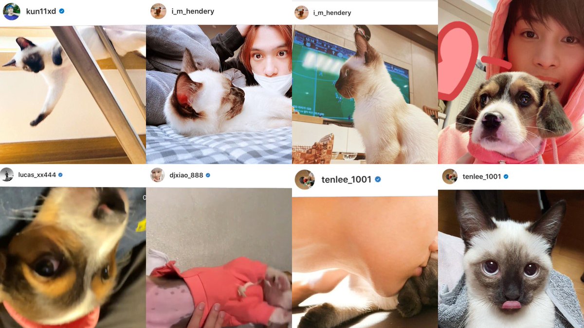 ป้าฟาง 💜 TENLEE #SO10 🐈⬛💥 tweet media