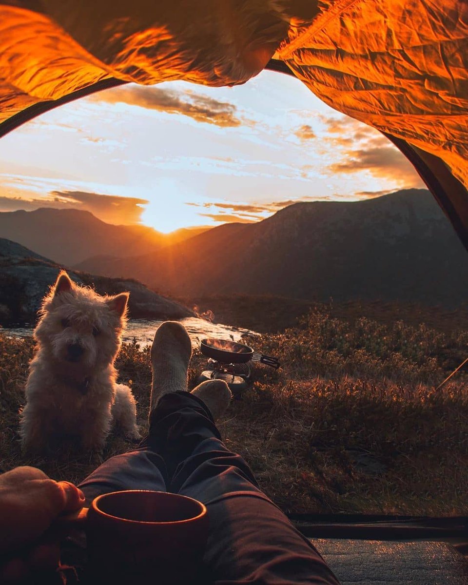A best friend, a cup of tea, a perfect KingCamp tent and a nice sunset. What more can you ask for? ❤ #kingcampofficial
.
.
.
.
.
.
📷 @oyehaug .
#mountainaddict #camping⛺ #campingseason #adventuretillwedie #dogsmile #traveladdicted #campinglife #adventurephotographer #mountain