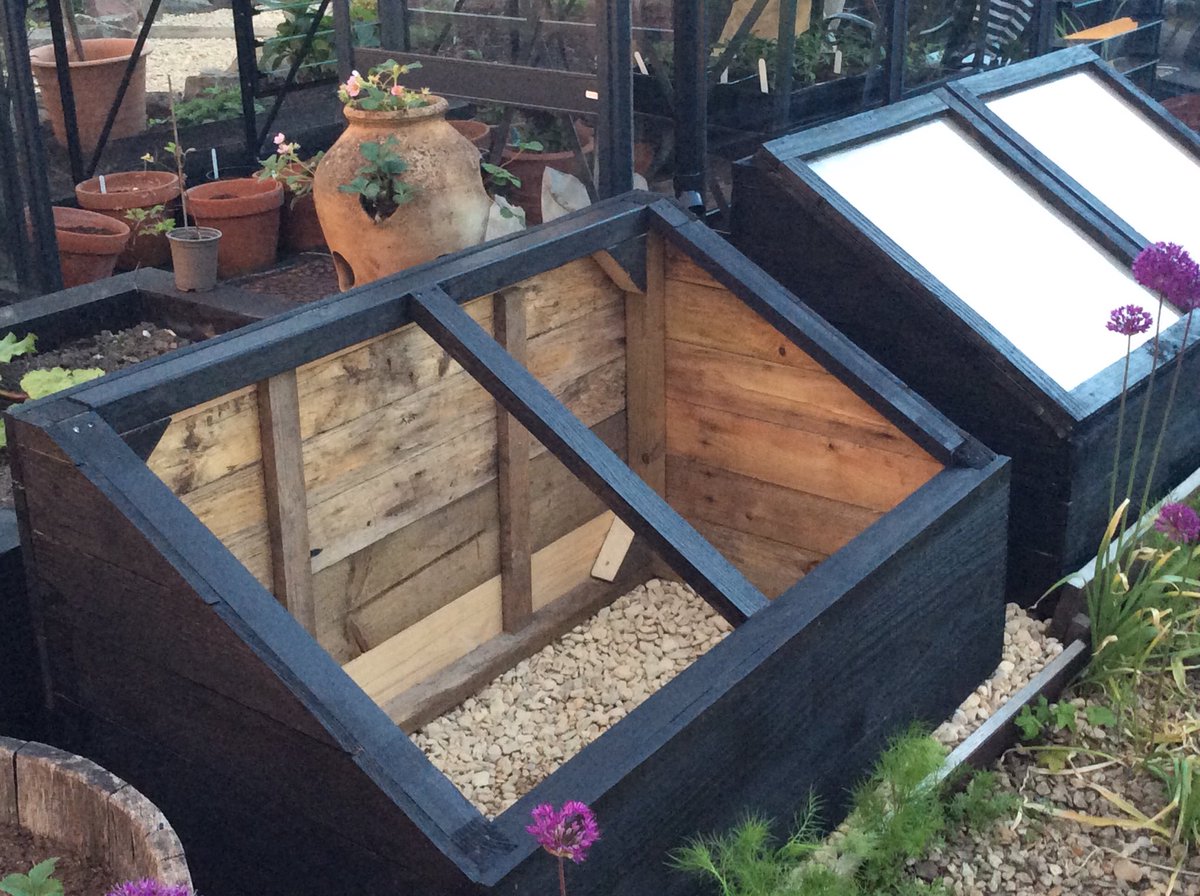 Morning, OH made me cold frames from old pallets yesterday whilst I filled another skip. I’ve painted them to match the greenhouse. Lots of plants to start moving out now, after the cold night tomorrow. Enjoy the weekend.👍🌸