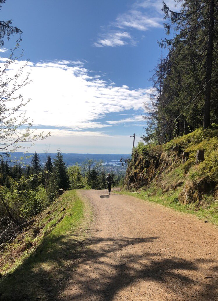 DlandElisabeth's tweet photo. Sometimes I escape to get away from #roadpollution #tireparticles and #microplastics in the Oslo. And then I see these guys making #TWP in the middle of the forest! There is no escape. https://t.co/8yXD4f8SSA