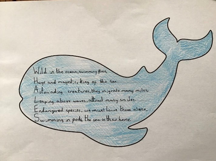 ORCA_web's tweet photo. The students at @MeadowdaleAcad in Bedlington, Northumberland have been busy creating their acrostic poems about whales!  Read their brilliant examples below #ORCALessons https://t.co/JQnoZynG2V